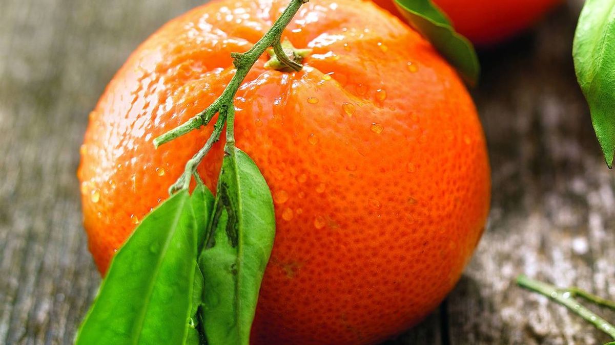 Gran fruta de invierno. Las mandarinas tienen muchos beneficios para la salud. Gran fruta de invierno. Las mandarinas tienen muchos beneficios para la salud.