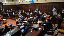 Los proyectos insólitos que los diputados mendocinos redactaron en 2021