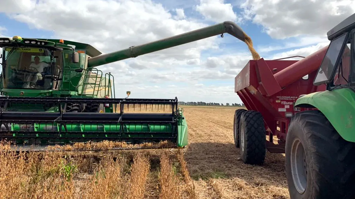Para los productores vitivinícolas de Mendoza la baja de las retenciones no tendrá impacto significativo en el sector.