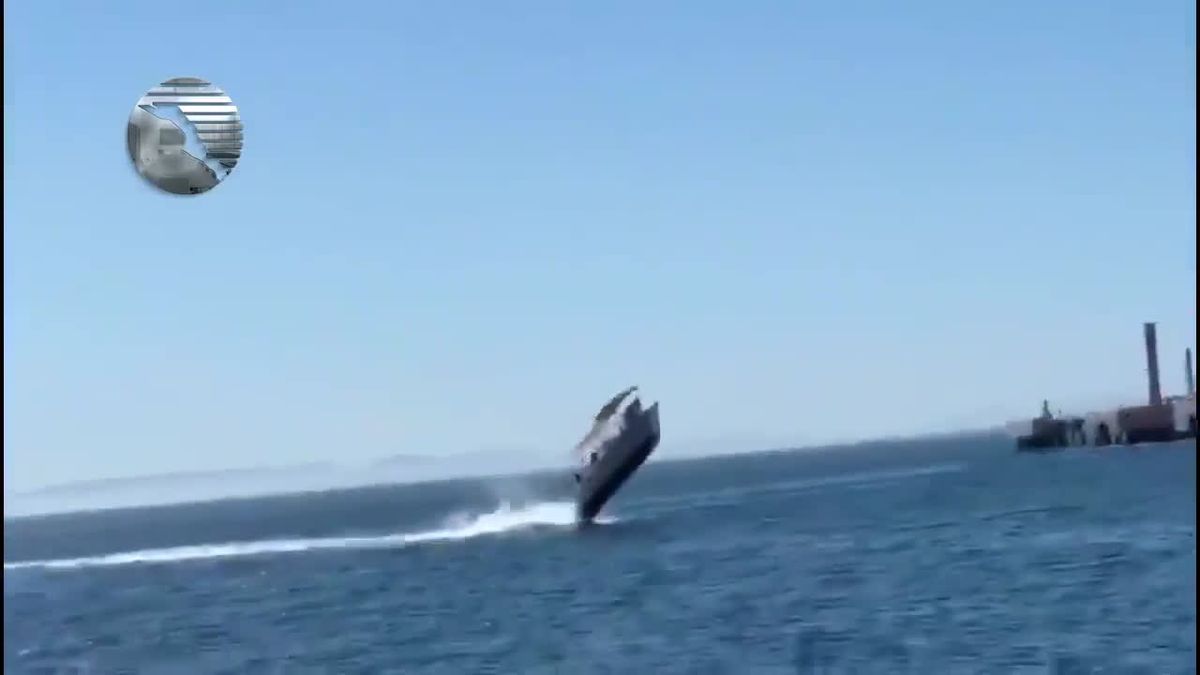 Choque insólito. Video: un barco turístico chocó contra una ballena.