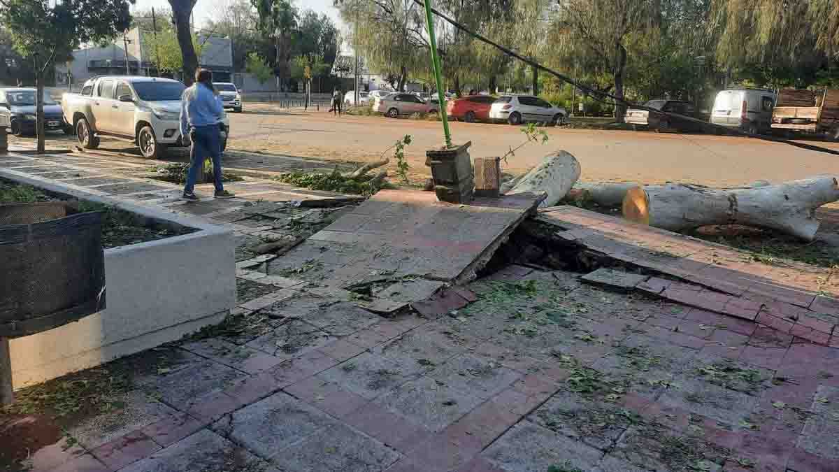 La tormenta generó graves daños y una víctima fatal.