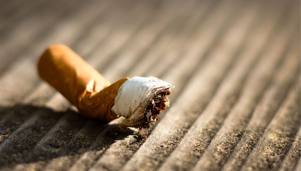 Utiliza productos naturales o productos específicos para neutralizar el olor a cigarrillo. Utiliza productos naturales o productos específicos para neutralizar el olor a cigarrillo. 