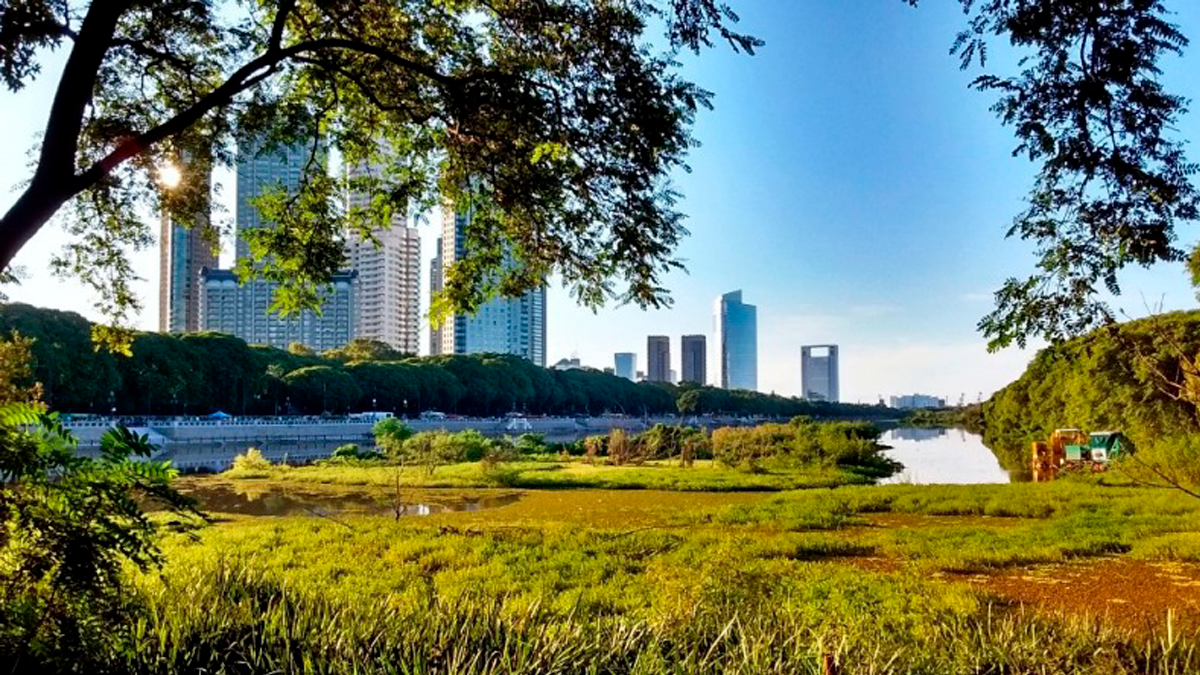 La Reserva Ecológica Costanera Sur es uno de los lugares ideales para disfrutar de la naturaleza en Buenos Aires durante las vacaciones de invierno 2022.
