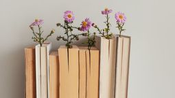 con un estante de madera y un poco de elastico, aprende a hacer una pequena biblioteca flotante