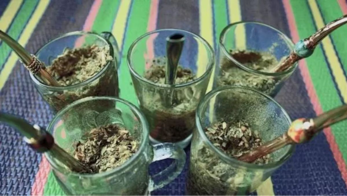 Parece un té o mate cocido que se toma como infusión, por la mañana o la tarde Parece un té o mate cocido que se toma como infusión, por la mañana o la tarde