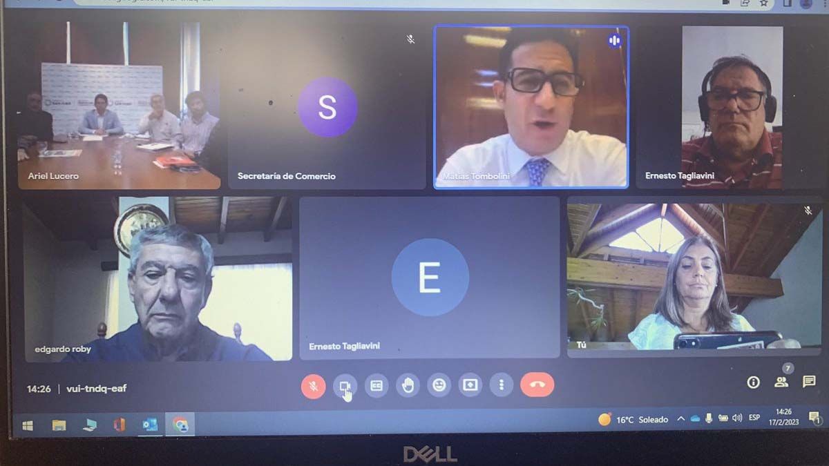 Gabriela Lizana (abajo a la derecha) se sumó a la reunión con el secretario de Comercio, Matías Tombolini, y referentes del sector vitícola preocupados por la apertura a la importación de vinos.