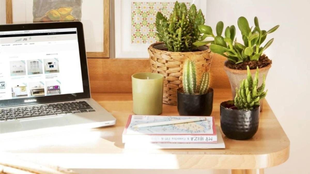 Decoración: cómo armar una oficina bonita en una casa pequeña.