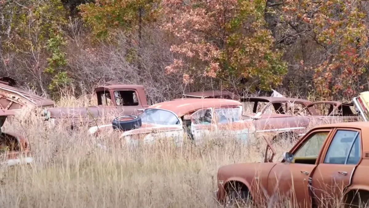 Una colección de autos abandonados fue encontrada pero la dueña la vende con una condición especial