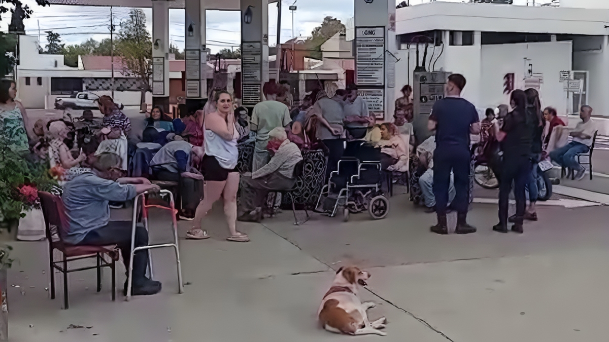 El geriátrico que se incendió en San Martín fue clausurado: "No tenía condiciones mínimas de habitabilidad" El geriátrico que se incendió en San Martín fue clausurado: "No tenía condiciones mínimas de habitabilidad"