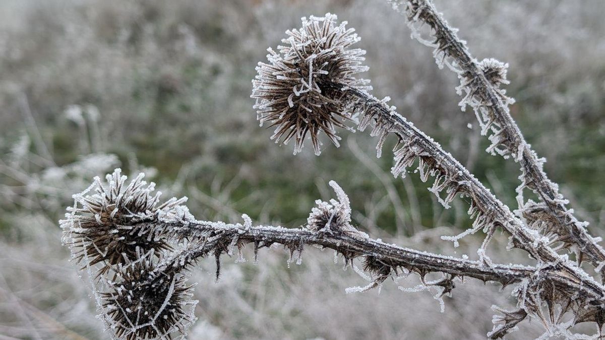 Toma las medidas necesarias para cuidarte