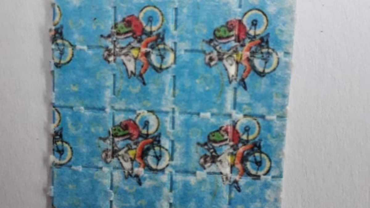Se encontraron hasta dosis de LSD en el barrio La Gloria.