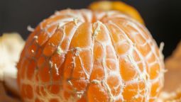 La mandarina es una fruta que posee muchísimos beneficios para la salud, sobre todo en los hilitos blancos que muchas veces se los sacamos para comer. La mandarina es una fruta que posee muchísimos beneficios para la salud, sobre todo en los hilitos blancos que muchas veces se los sacamos para comer.