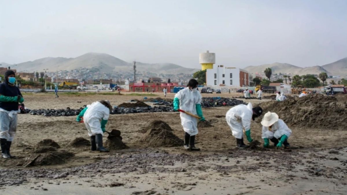 Personas limpiando las playas de Ancón tras el vertido de Repsol. Aún hoy, los lugareños temen bañarse en el mar por miedo a la contaminación (Imagen: Jaime Jiménez Palomino / dpa / Alamy) Personas limpiando las playas de Ancón tras el vertido de Repsol. Aún hoy, los lugareños temen bañarse en el mar por miedo a la contaminación (Imagen: Jaime Jiménez Palomino / dpa / Alamy)