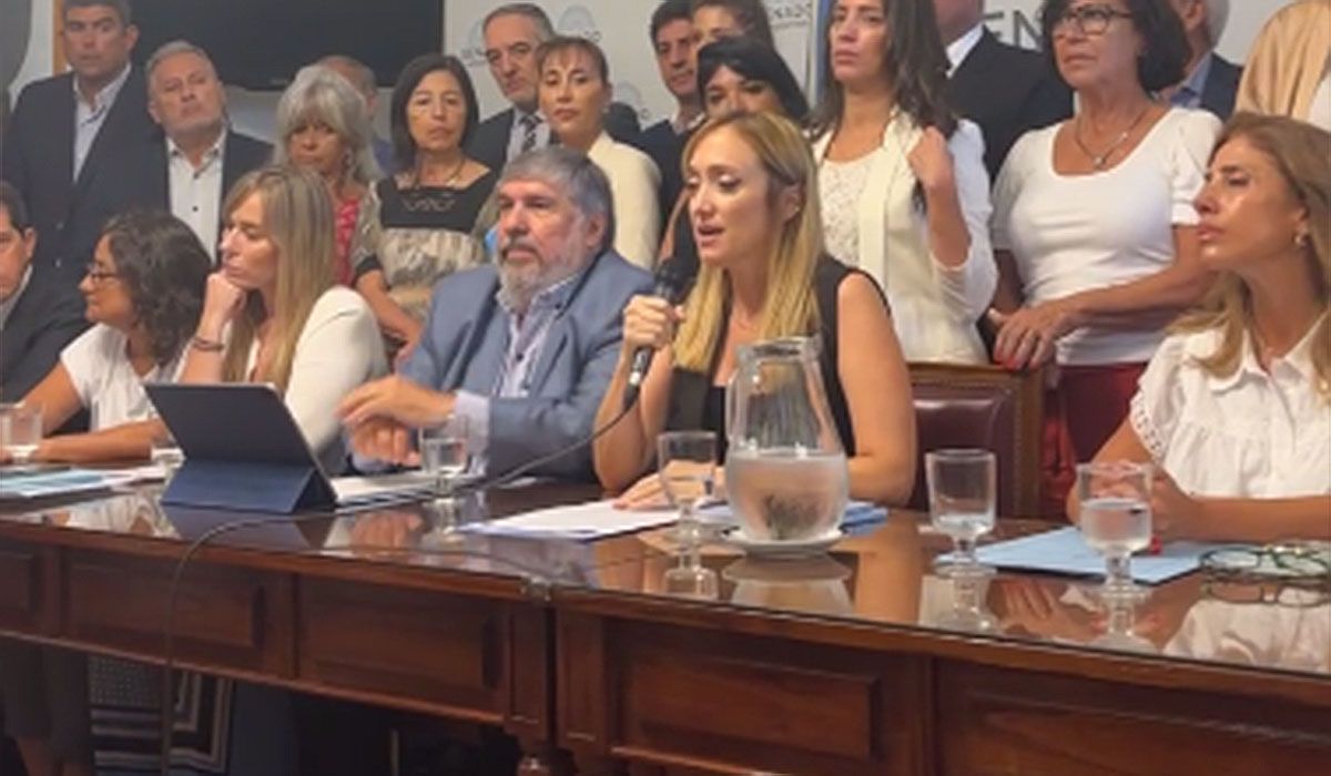 La senadora mendocina Anabel Fernández Sagasti acusó a la Victoria Villarruel de incumplir con sus deberes por no convocar a sesión especial para tratar el mega DNU.