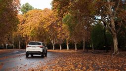 Este domingo el viento sur marcará la jornada en Mendoza, en el Este y el Sur se sentirá con mayor intensidad.&nbsp;