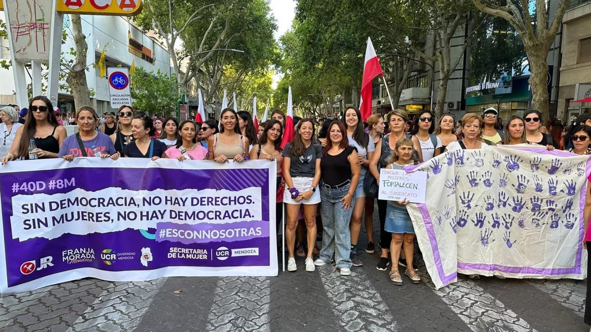 Las mujeres que integran el Comité Provincia de la UCR fueron quienes redactaron el protocolo contra la violencia de género en el partido