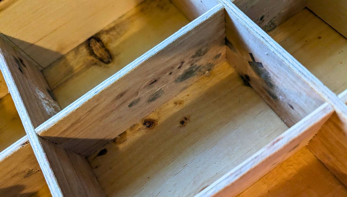 Con este truco, no tendrás hongos en los cajones de tu cocina. Con este truco, no tendrás hongos en los cajones de tu cocina. 