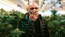 La monstruosa cifra que gasta Mike Tyson por mes en marihuana