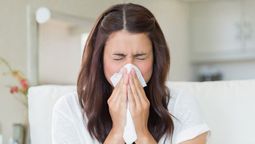 Trucos que funcionan para no tener alergia: dile adiós a los estornudos Trucos que funcionan para no tener alergia: dile adiós a los estornudos