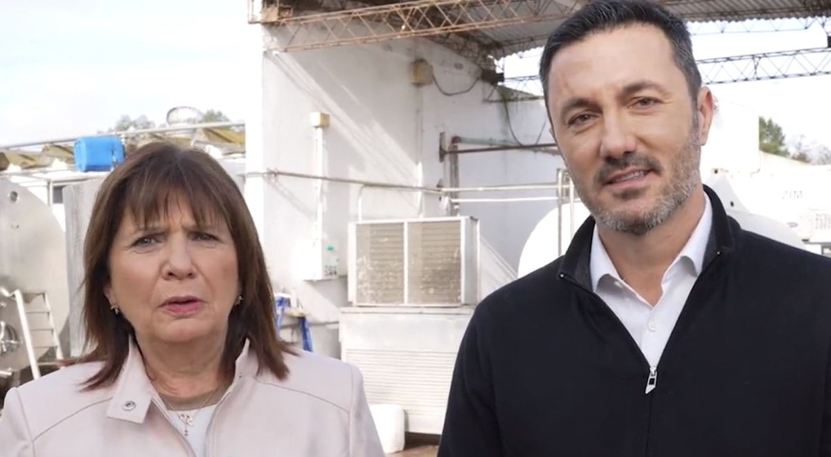 Patricia Bullrich eligió al mendocino Luis Petri como su compañero de fórmula presidencial y lo confirmó el jueves pasado.