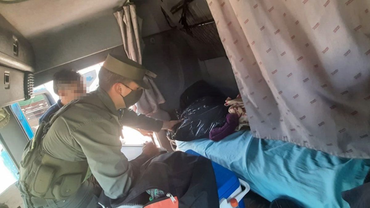 Hallaron 97 kilos de hojas de coca que estaban escondidas entre berenjenas