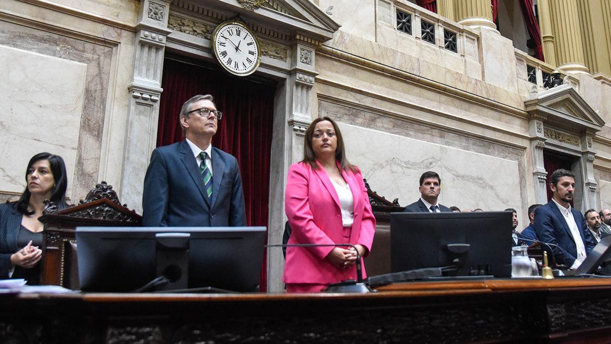 Cecilia Moreau preside la sesión en Diputados.