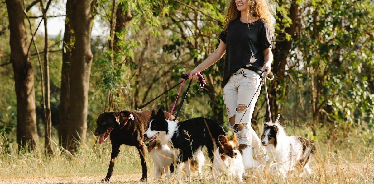 El empleo secundario que puede darte miles de dólares al año en los Estados Unidos El empleo secundario que puede darte miles de dólares al año en los Estados Unidos