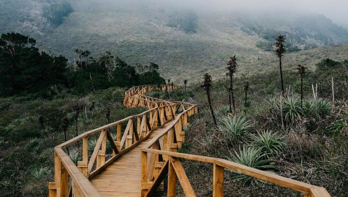 El Parque Nacional de Chile con senderos imponentes y paisajes maravillosos