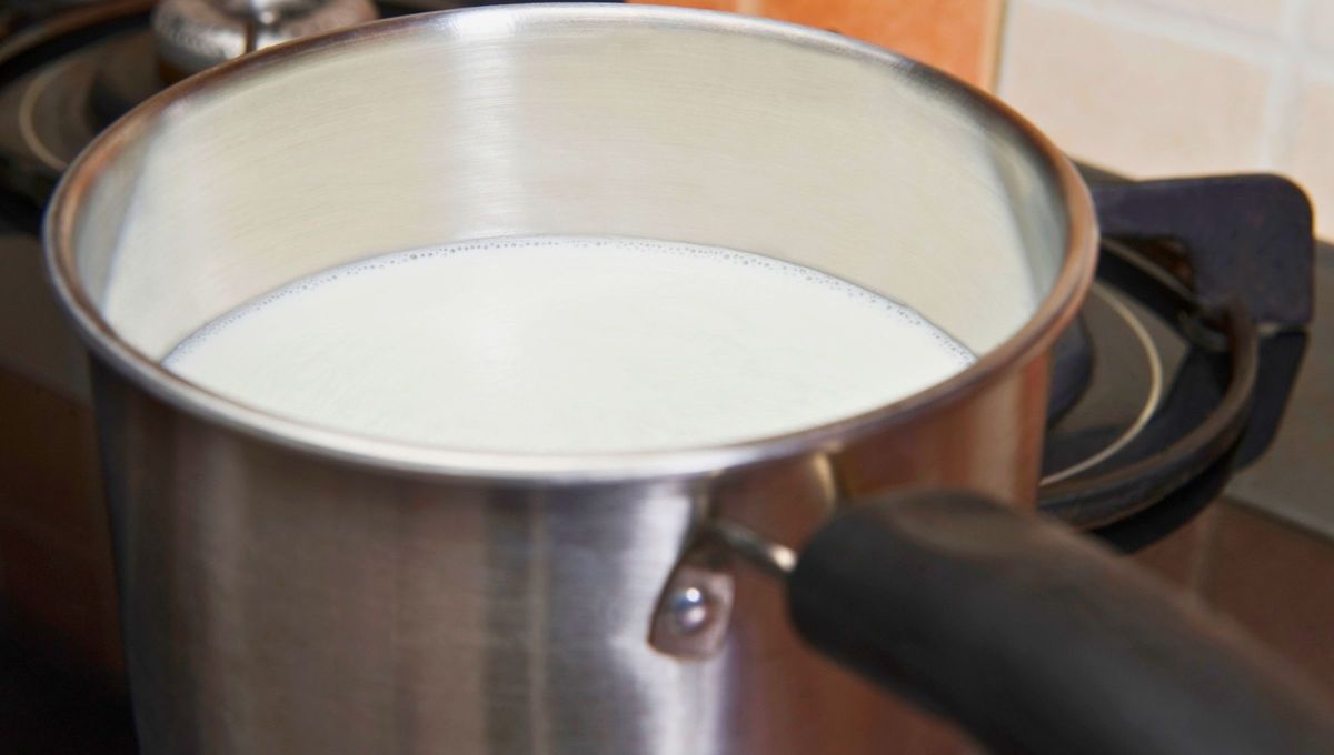 Argentinidad al palo: el invento argentino que cambió la historia de la cocina y deleitó al mundo