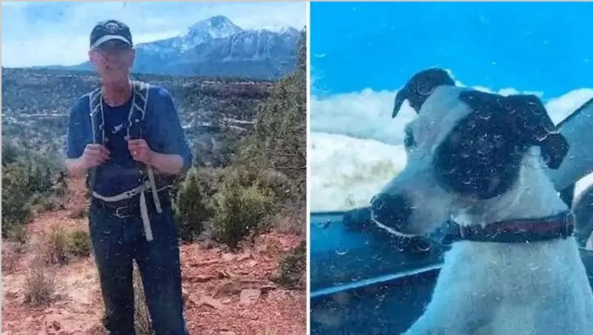 Amor incondicional. Encontraron muerto a un senderista que desapareció; su perro seguía a su lado. Amor incondicional. Encontraron muerto a un senderista que desapareció; su perro seguía a su lado.