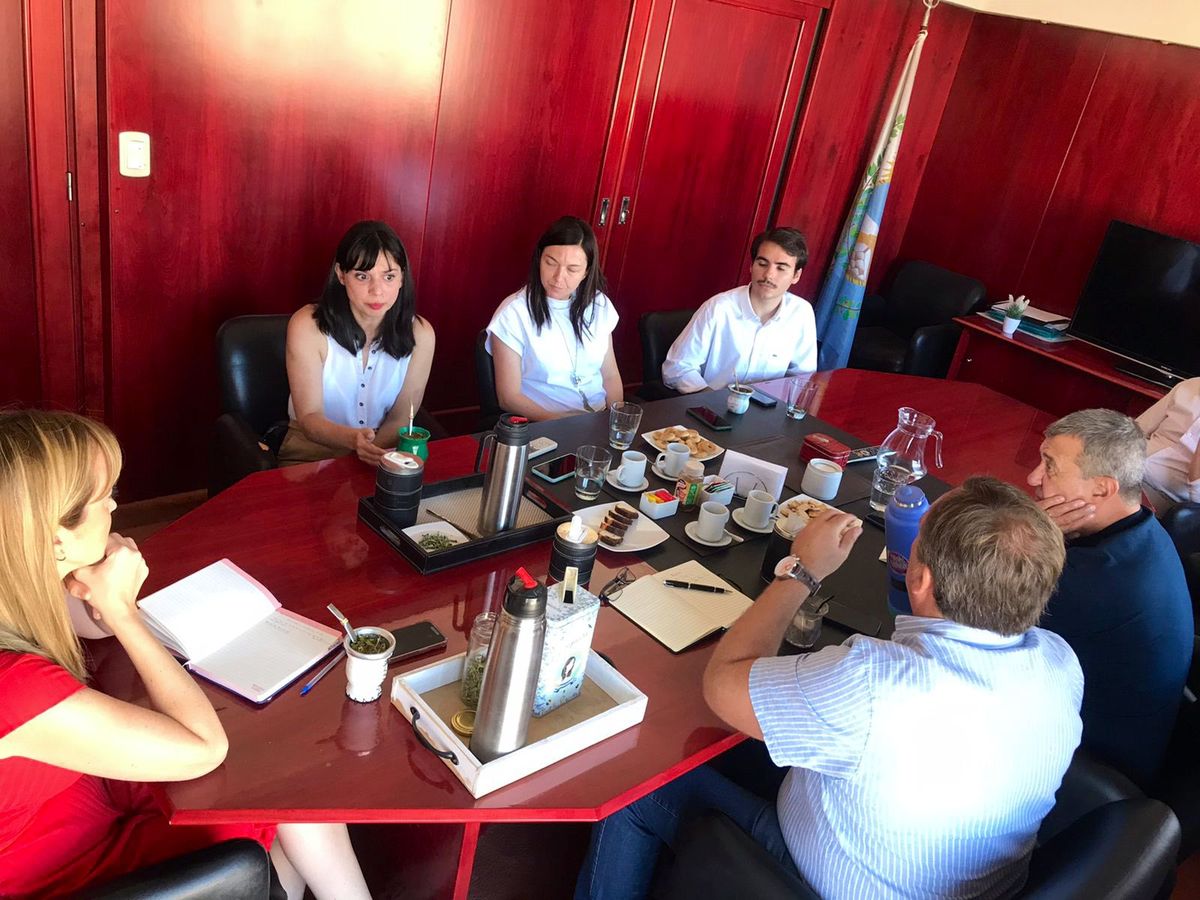 Bermejo, Aveiro y Fernández Sagasti tomaron nota de las inquietudes de los psicólogos de Mendoza. Bermejo, Aveiro y Fernández Sagasti tomaron nota de las inquietudes de los psicólogos de Mendoza.