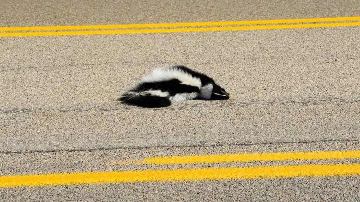 Los 10 trabajos más horripilantes del mundo