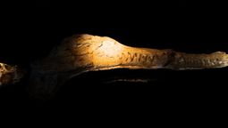 Este descubrimiento confirma una de las hipótesis que tenían los especialistas, aunque con ciertas variantes.  Este descubrimiento confirma una de las hipótesis que tenían los especialistas, aunque con ciertas variantes.