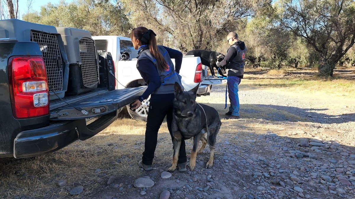 La adiestradora Ayelén Castro en el parque Metropolitano de Maipú