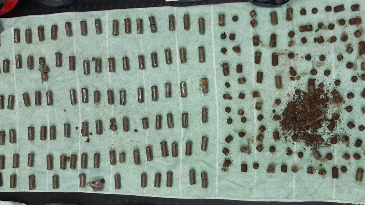 Drogas en Mendoza: se secuestraron 2 kilos de marihuana durante el allanamiento.