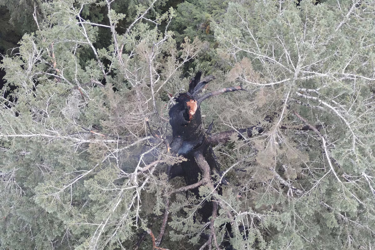 Las llamas amenazaban a una de las joyas de la naturaleza que tiene Estados Unidos. Las llamas amenazaban a una de las joyas de la naturaleza que tiene Estados Unidos.