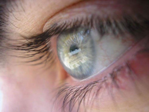Descubierta una nueva capa del ojo que podría tener relación con el glaucoma