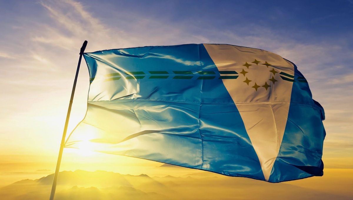 La propuesta de este dise&ntilde;o surge de la privilegiada ubicaci&oacute;n de la Provincia de Formosa en el Cono Sur Americano y el rol protag&oacute;nico que le cabe en el marco de la integraci&oacute;n regional y continental.&nbsp;