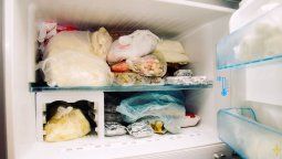 Los alimentos congelados que pueden volver al freezer.