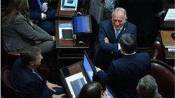 Con apoyo de Juri y Suarez, el Senado trata la ley de propiedad privada.