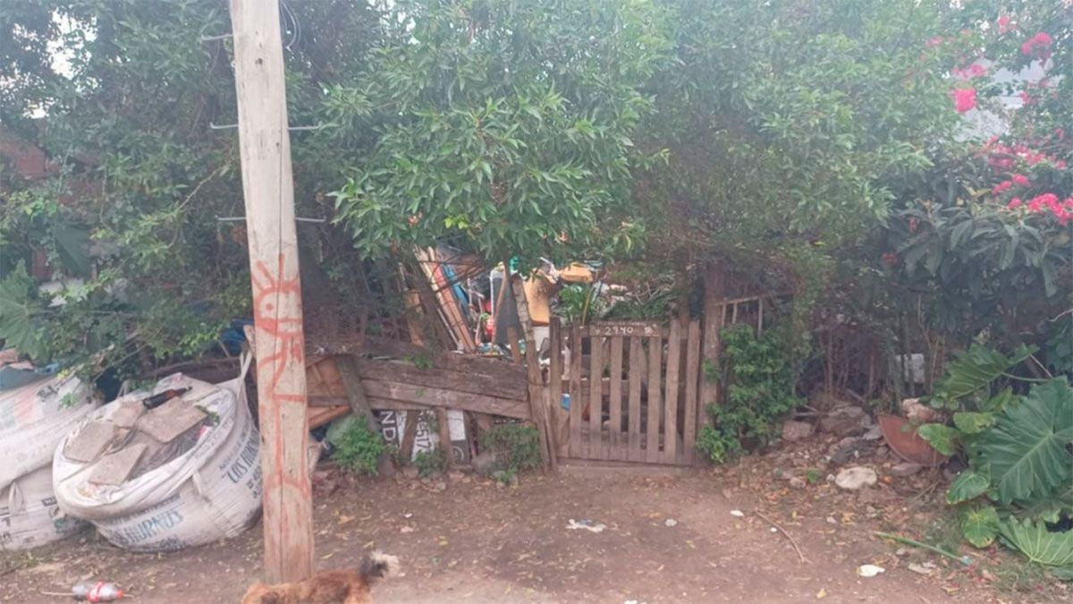 La tremenda secuencia de violencia se registró en la tarde del miércoles en 65 y 154, en Los Hornos, La Plata.