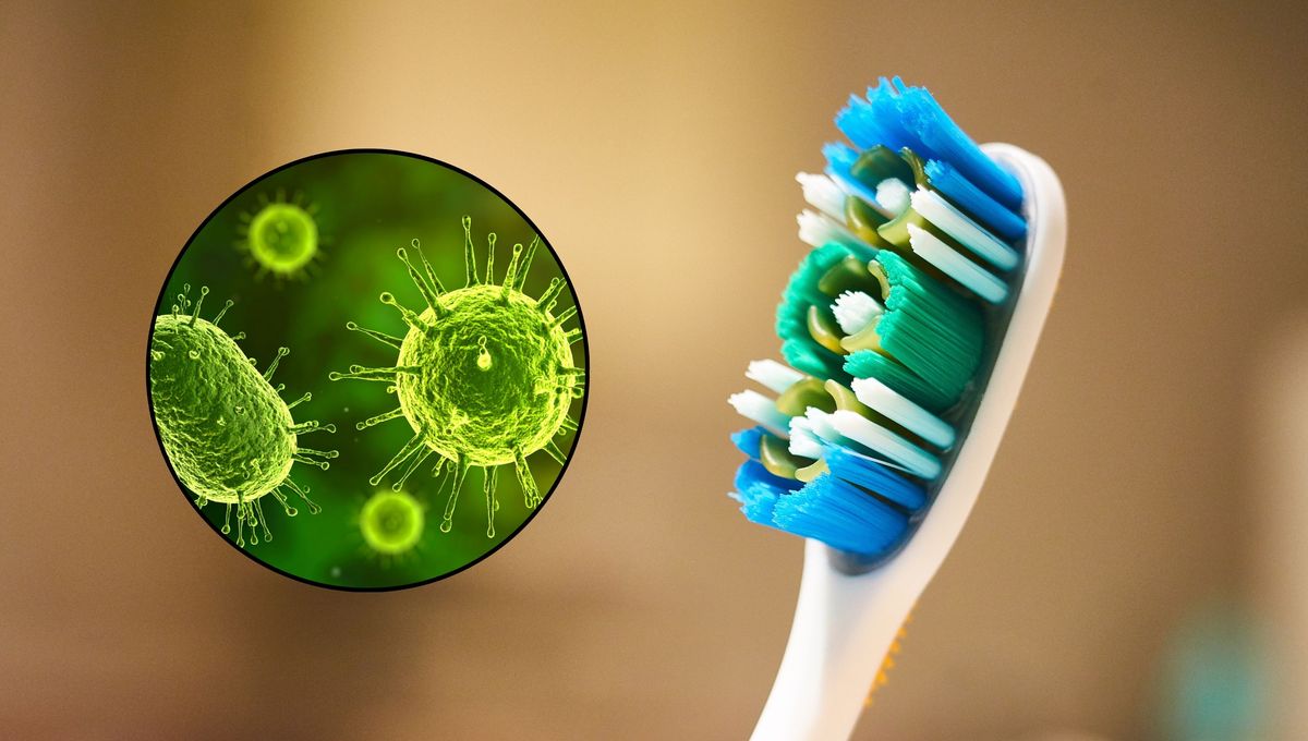 Remojar el cepillo de dientes en vinagre: ¿qué significa y cuáles son sus beneficios?