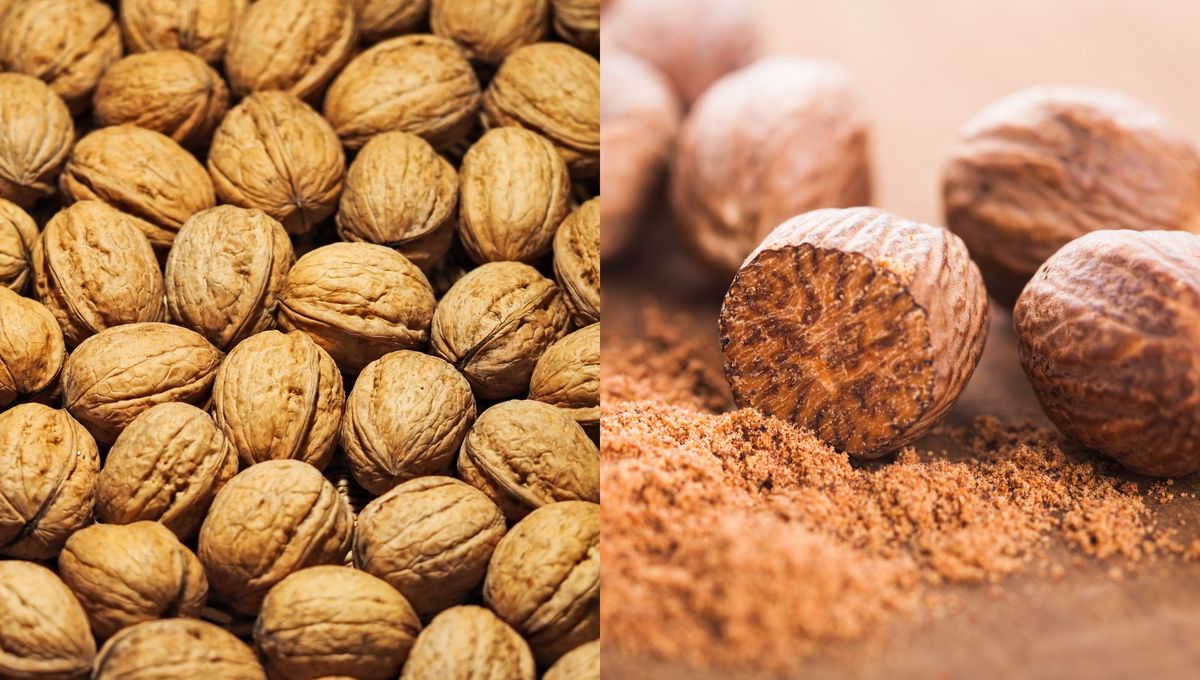 Diferencias entre dos alimentos muy conocidos. Diferencias entre dos alimentos muy conocidos. 