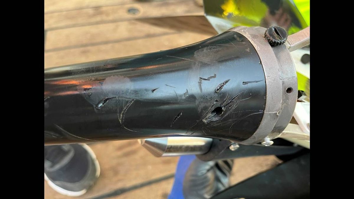 El descubrimiento preocupó a investigadores y pescadores. El descubrimiento preocupó a investigadores y pescadores.