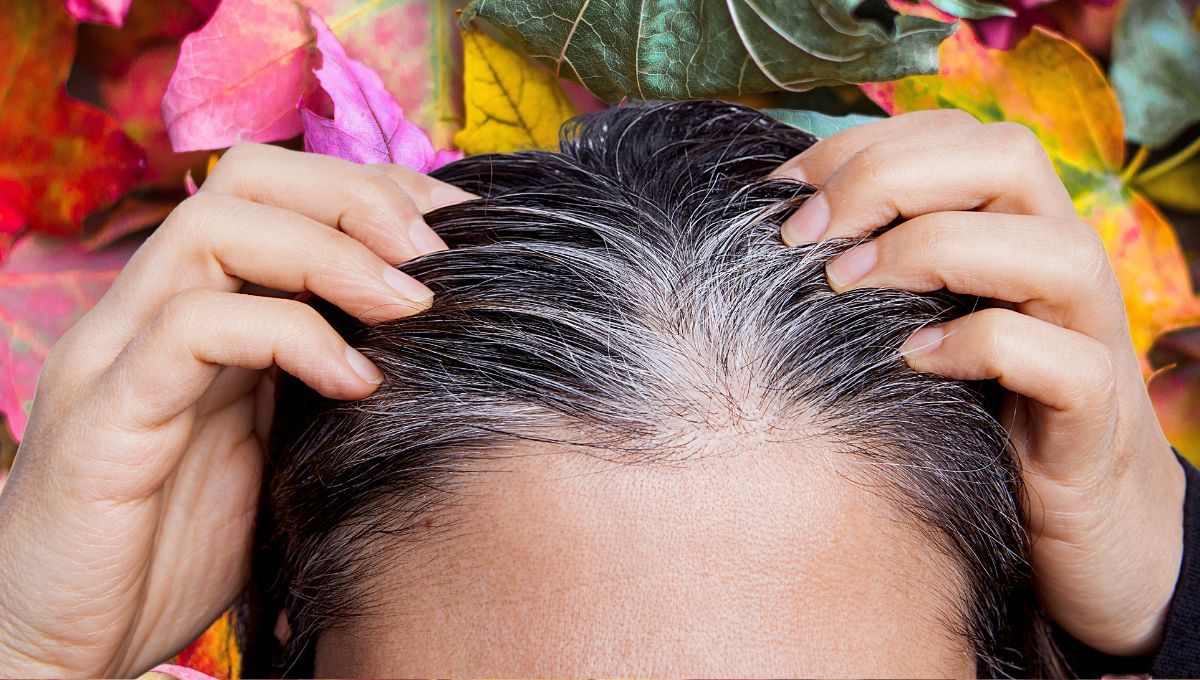 Las canas quedarán en el pasado gracias a este tinte hecho con hojas de jardín