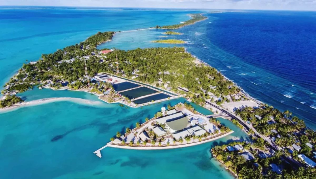 La isla con 1.500 personas y 120 millones de cangrejos perfecta para un cable submarino, según Google