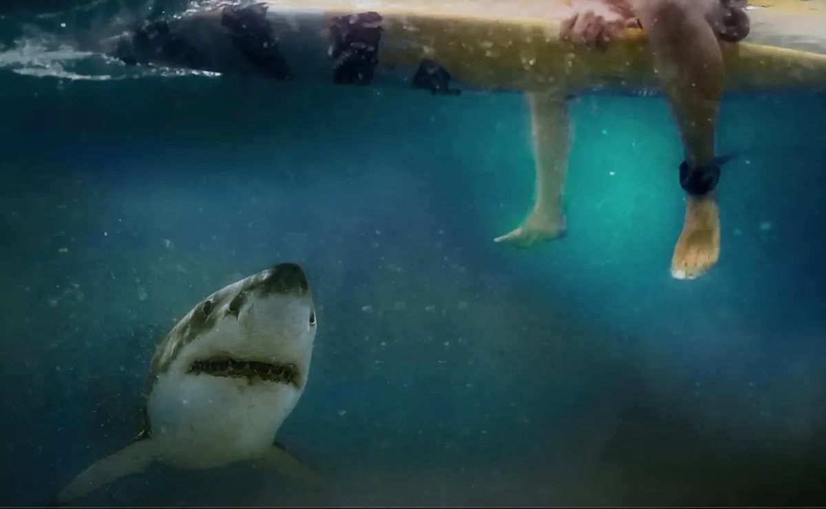 Streaming. HBO Max tiene el documental furor más visto sobre tiburones. Streaming. HBO Max tiene el documental furor más visto sobre tiburones.