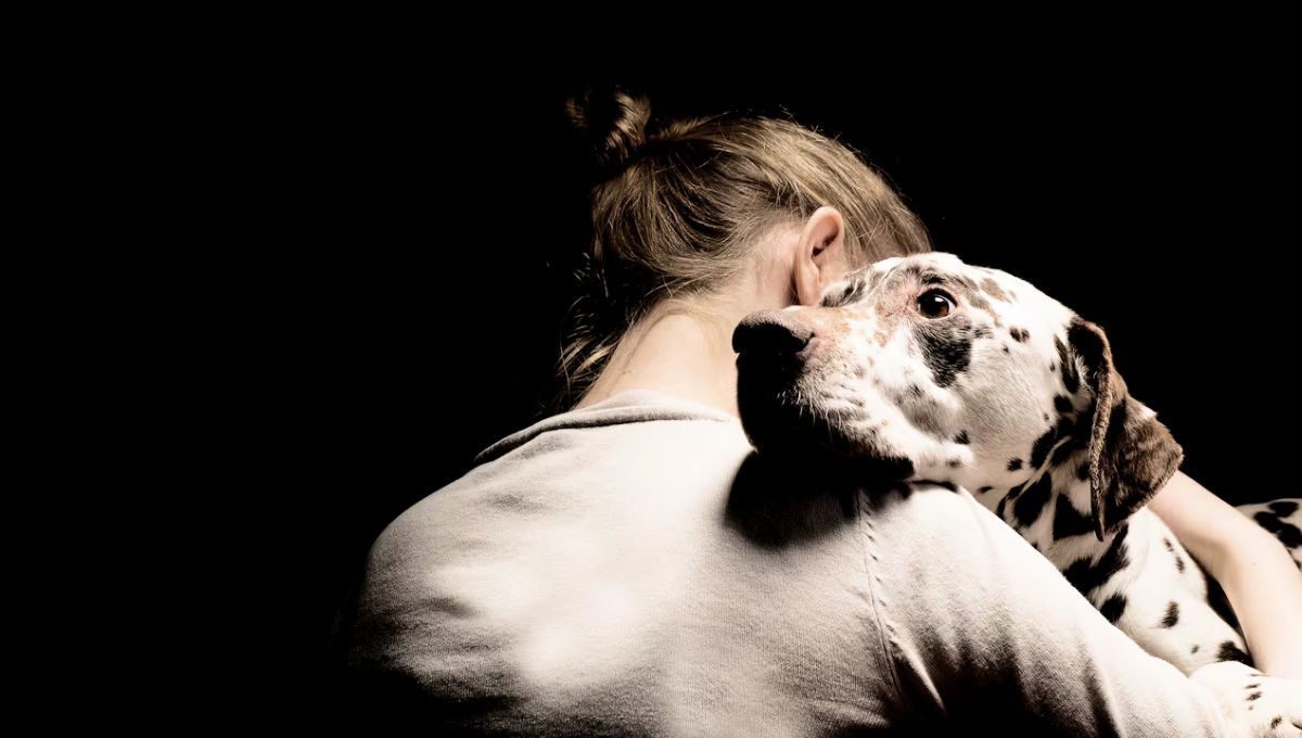 Un perro con ansiedad puede ser fácilmente identificado por una serie de comportamientos