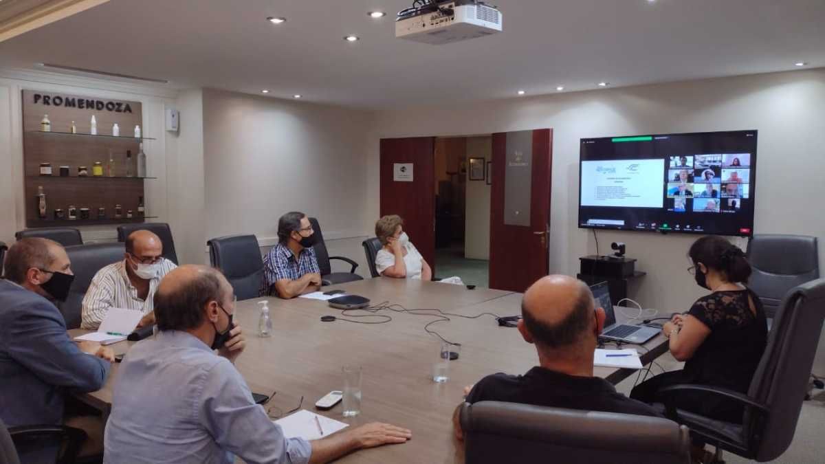 El convenio se formó mediante una videconferencia entre los integrantes del clúster aeroespacial mendocino y su similar de México, en la sede de ProMendoza.
