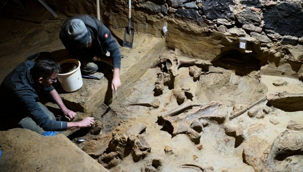 Un gran descubrimiento animal se realizó en los Estados Unidos